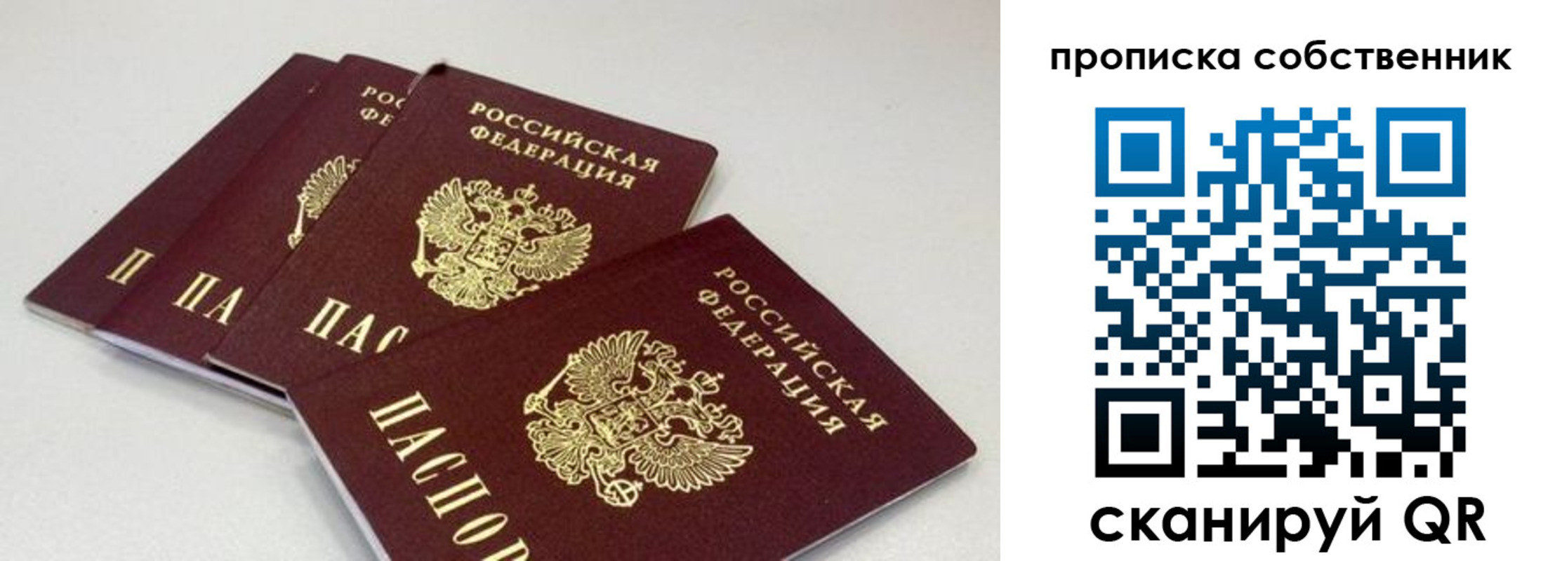 где прописаться в Ленинградской области